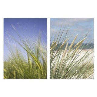 Lienzo 50x70cm Hierbas 2 Modelos