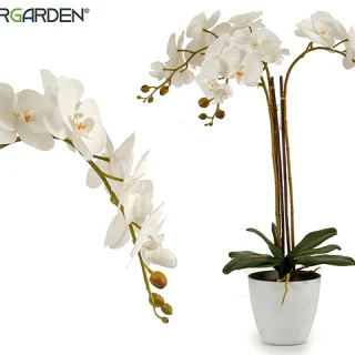 Orquidea Blanca Maceta Cónica Blanca Jumbo