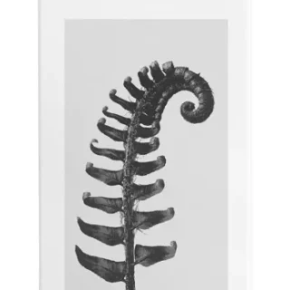 Esencia Loewe 50 ml pour homme