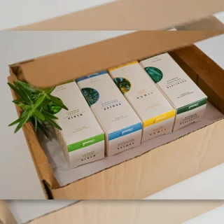 4 Grandes Maestros (Pack)