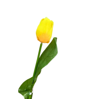 Rosa Rama Amarilla Peypa 60cm