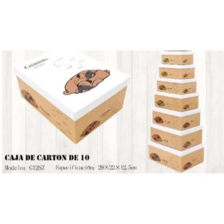 Juego 10 Cajas del Horóscopo Geminis