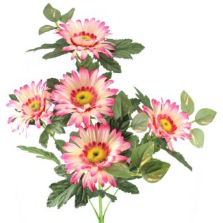 Rama Gerbera x5 Fucsia 80cm